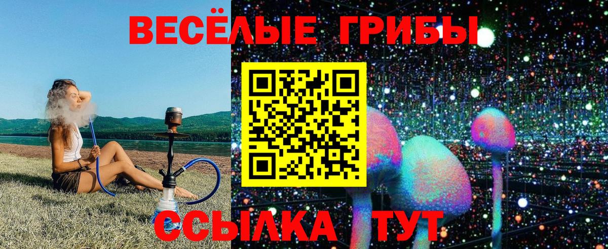 Галлюциногенные грибы прущие грибы  Вход с VPN  Сланцы  Галлюциногенные грибы ЛСД 